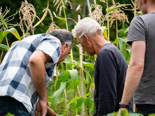 Nouveaux jardins 2020 photo 10 by retosteffen.ch