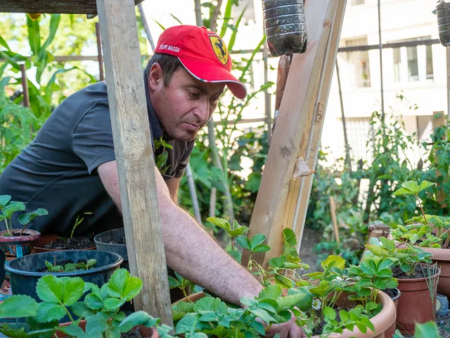 Nouveaux jardins 2020 photo 11 by retosteffen.ch