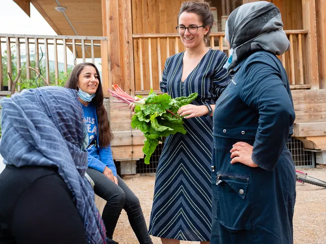 Nouveaux jardins 2020 photo 4 by retosteffen.ch