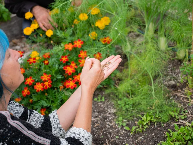 Nouveaux jardins 2021 photo 1 by retosteffen.ch