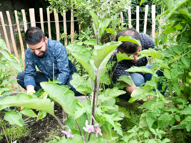 Nouveaux jardins 2021 photo 9 by retosteffen.ch