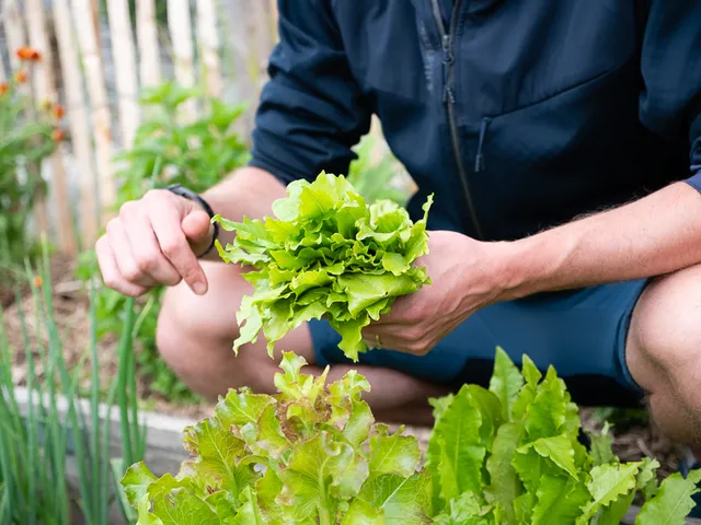 Nouveaux jardins 2021 photo 3 by retosteffen.ch