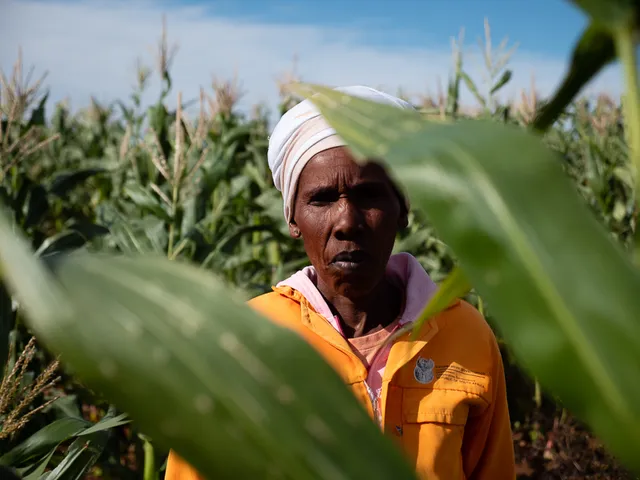 South Africa photo 10 by retosteffen.ch