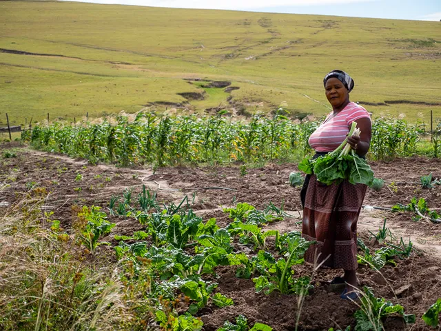 South Africa photo 4 by retosteffen.ch